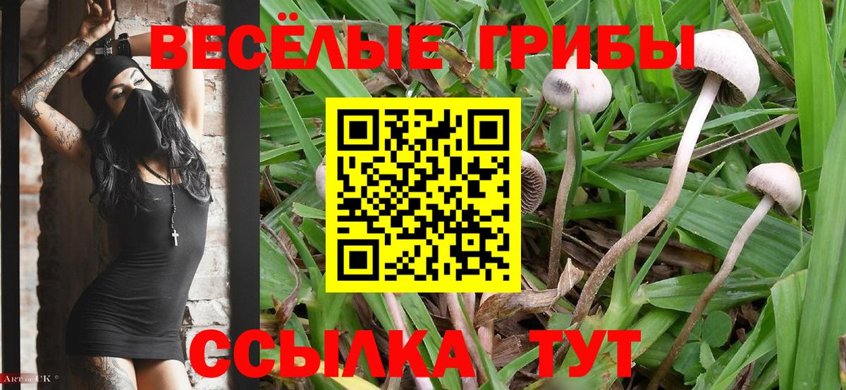 Галлюциногенные грибы Magic Shrooms Новошахтинск